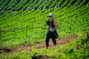 BIB: 
                            <button type="button" onclick="openModal(19163193)" class="btn btn-primary btn-sm float-right btn-popup" data-toggle="modal" data-target=".modal-high-quality">
                        <i class="fas fa-shopping-cart"></i> Add to Cart
                    </button>
                                            <button type="button" onclick="isThisMe(19163193, true)" class="btn btn-success btn-sm float-right btn-popup btn-isme hidden" data-toggle="tooltip" data-placement="bottom" title="นี่คือรูปของคุณใช่ไหม คลิกที่นี่เพื่อเอาเข้าอัลบั้ม">
                        <i class="fas fa-plus"></i> Add to album
                    </button>
                    <button type="button" onclick="isThisMe(19163193, false)" class="btn btn-warning btn-sm float-right btn-popup btn-isnotme hidden">
                        <i class="fas fa-ban"></i> Remove from album
                    </button>